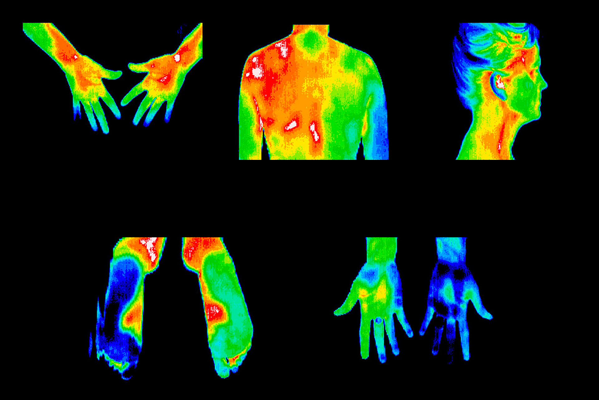 thermo images
