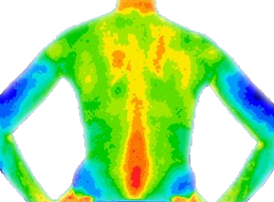 back thermo image