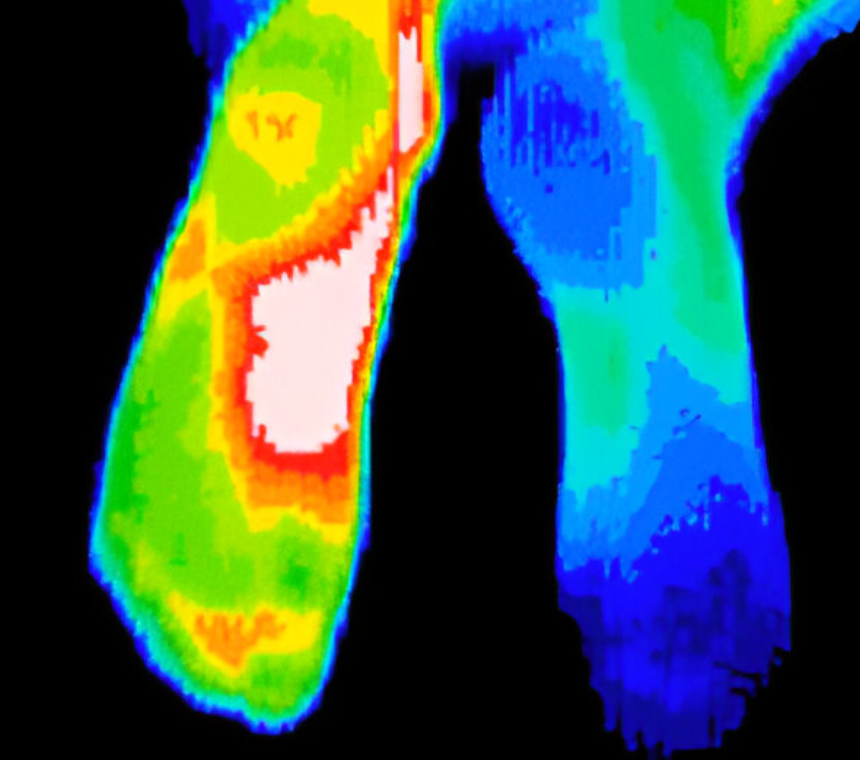 Thermography of Wisconsin